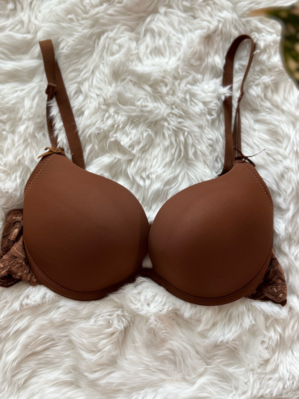 Brown Lace-Trim Push-Up Bra - Women Intimates & Sleepwear